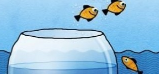 Due pesci saltano fuori da una boccia di vetro che galleggia nel mare. Dal mare un altro pesce li osserva mentre saltano.