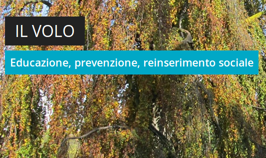 In alto le parole "Il volo" e sotto di esse "Educazione, prevenzione, reinserimento sociale". Sullo sfondo la chioma di un albero.