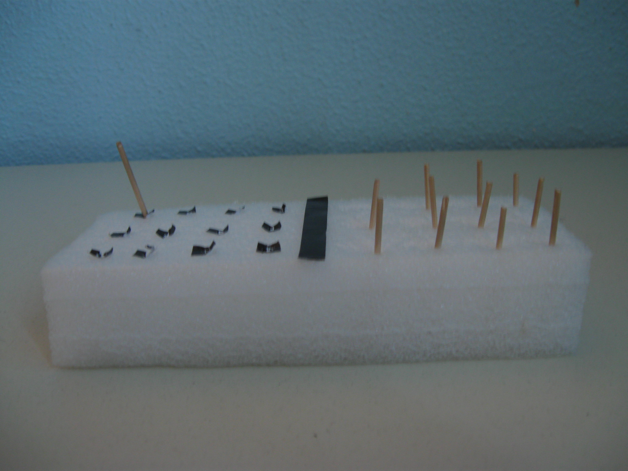 Parallelepipedo di plastica morbida alto quattro centimetri in cui sono infilati alcuni stuzzicadenti (a destra). A sinistra vi sono dei quadratini neri dove infilare gli stuzzicadenti.