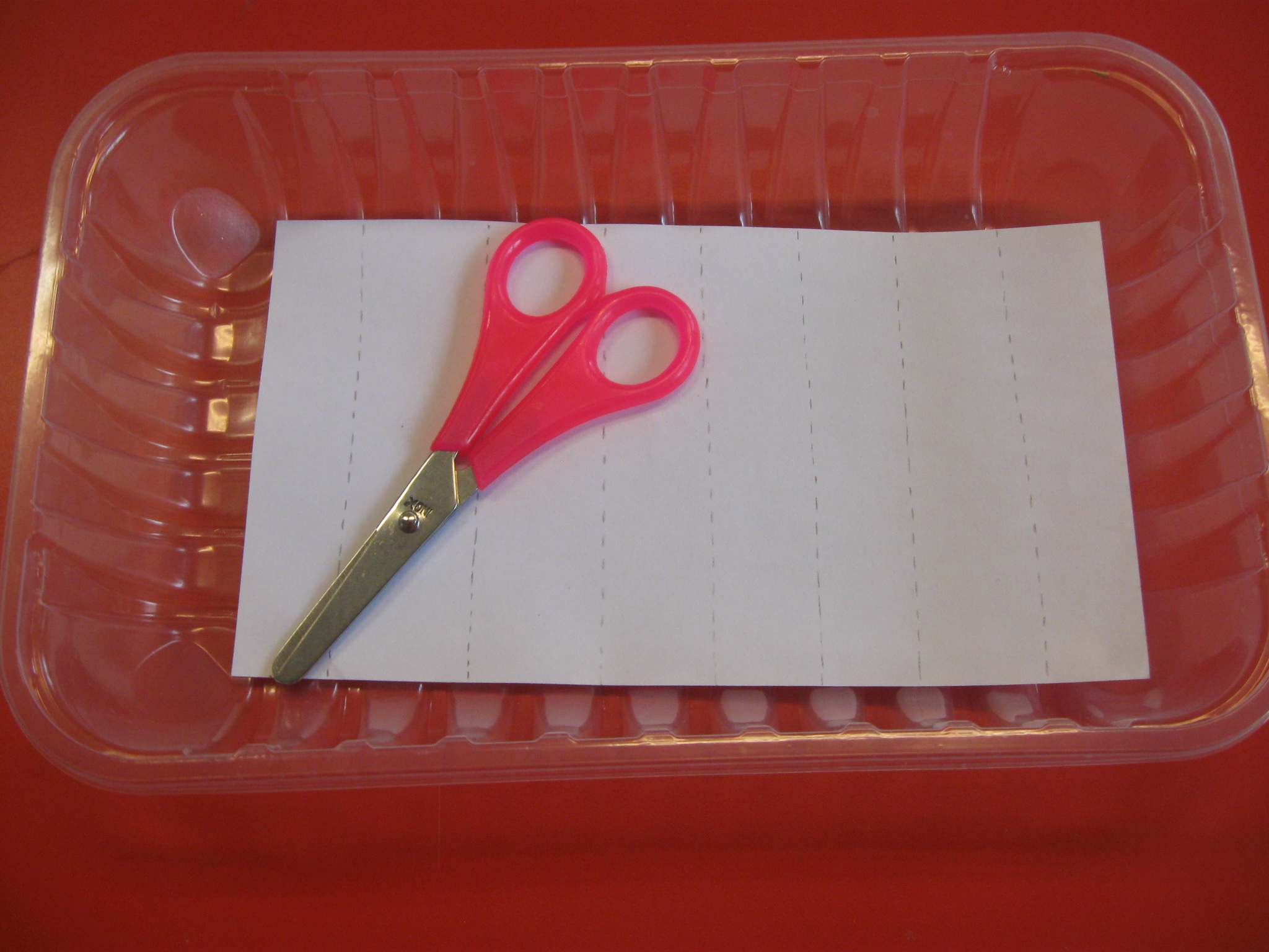 In una vaschetta ci sono un paio di forbici e un foglio con disegnate linee verticali tratteggiate.